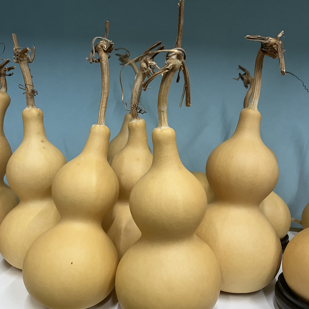 （价格链接）葫芦 一物一拍，实物以直播间展示为准