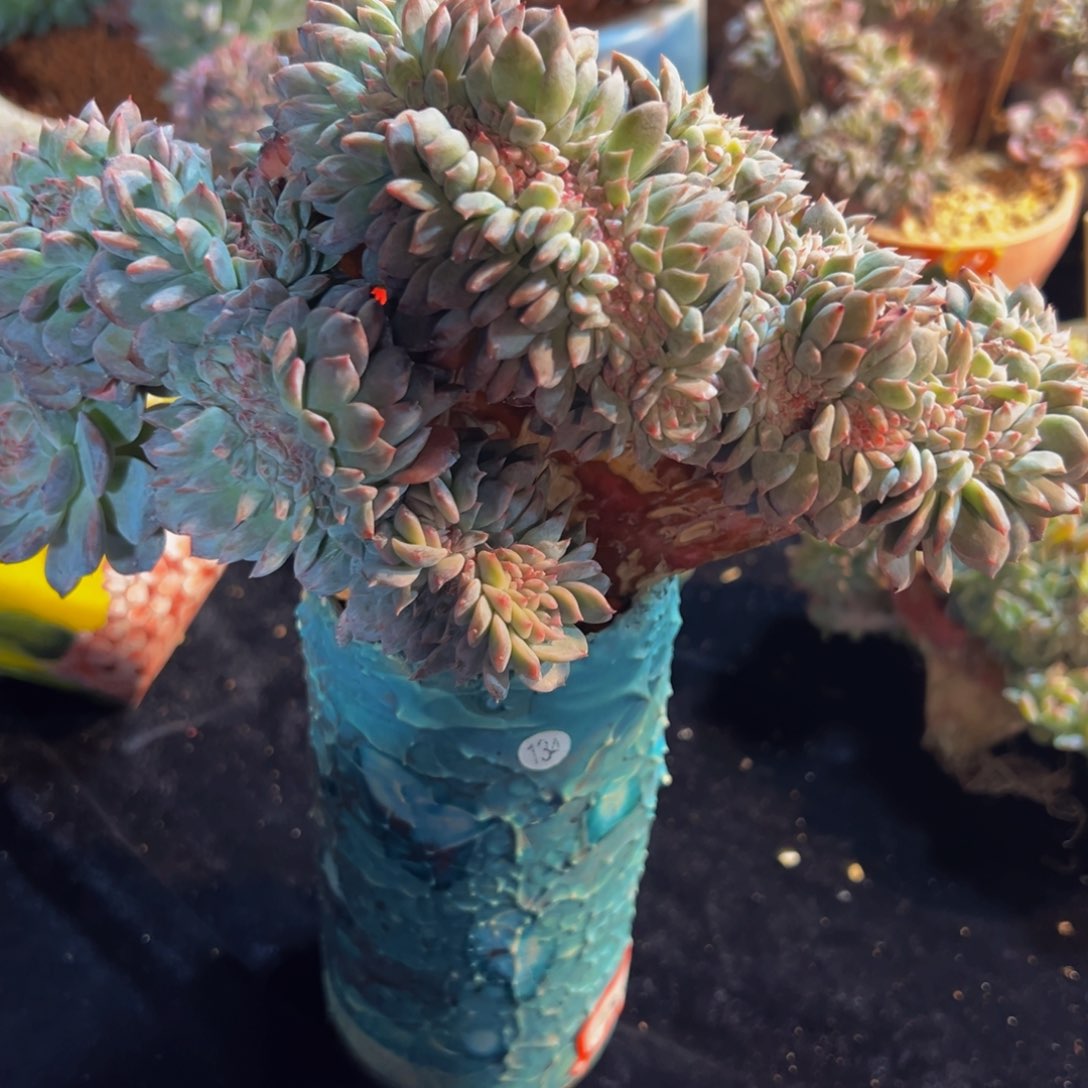 小*儿余120元可以兑换480