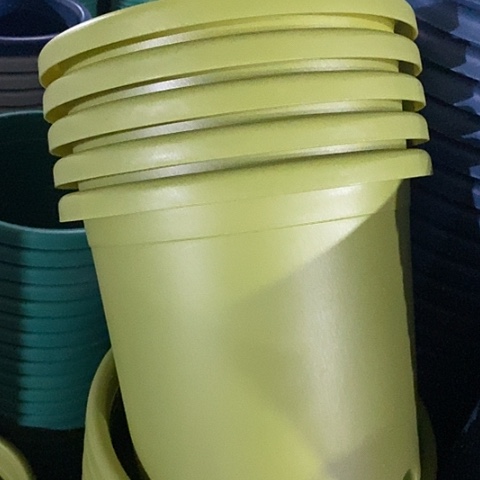 树脂四季4号微瑕果绿无托8个