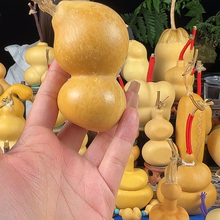 T****大叶紫檀（黑酸枝木类）