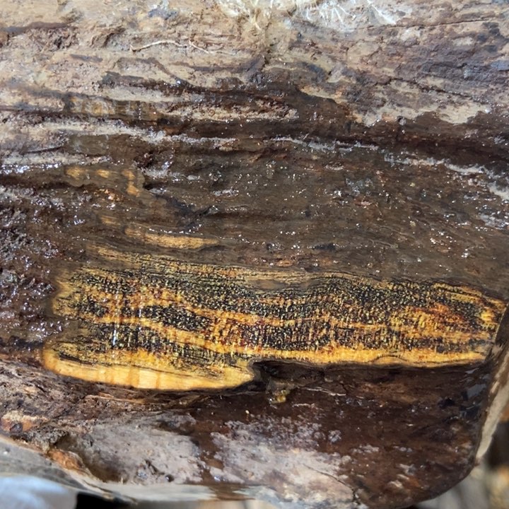 贡木手串孙*夫定制不退不换