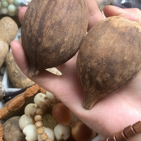 千眼菩提吊坠与**进库克原子