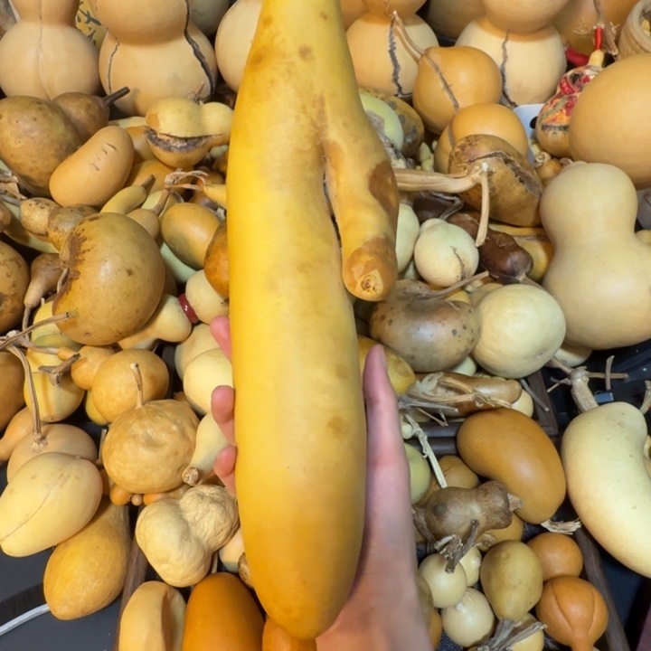 温***生健健康康健健康康健健康康