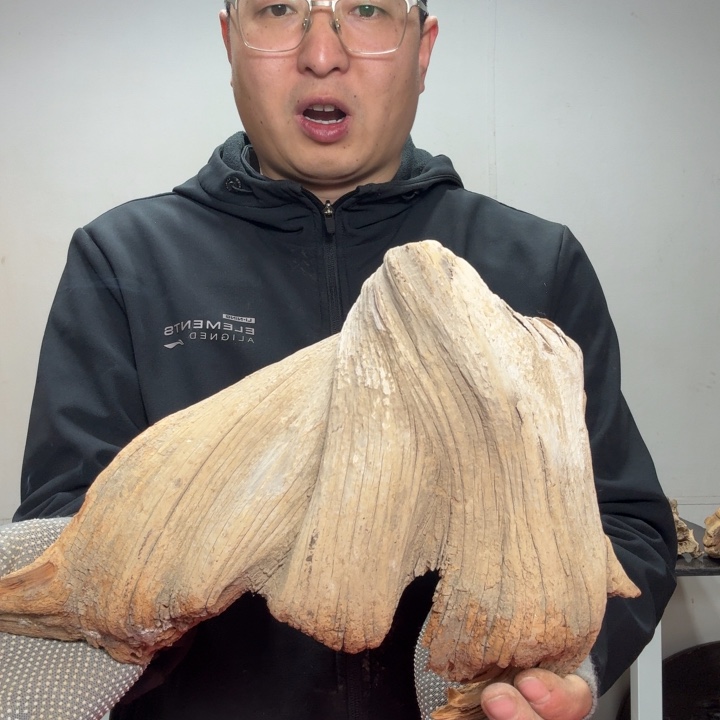 香榧木客服18832259591