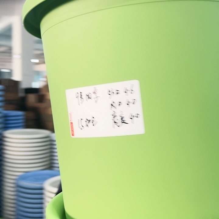 特价9号四季口46高40果绿带托2只
