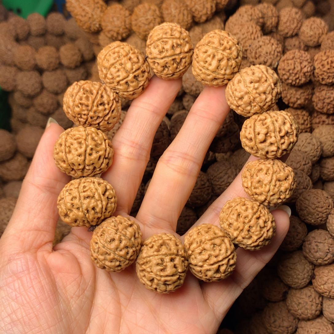 木9瓣爆肉卡23尺，6号