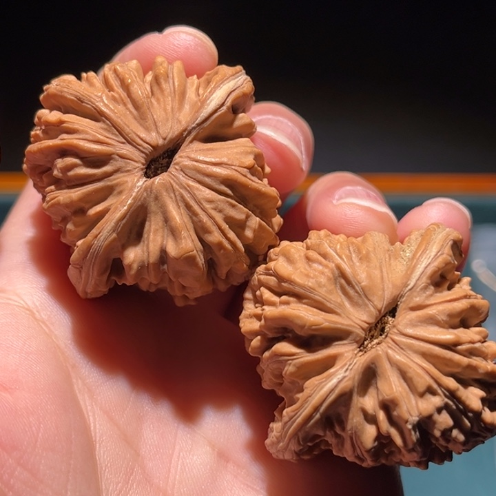 绿***熙文玩核桃把件41➕楼子