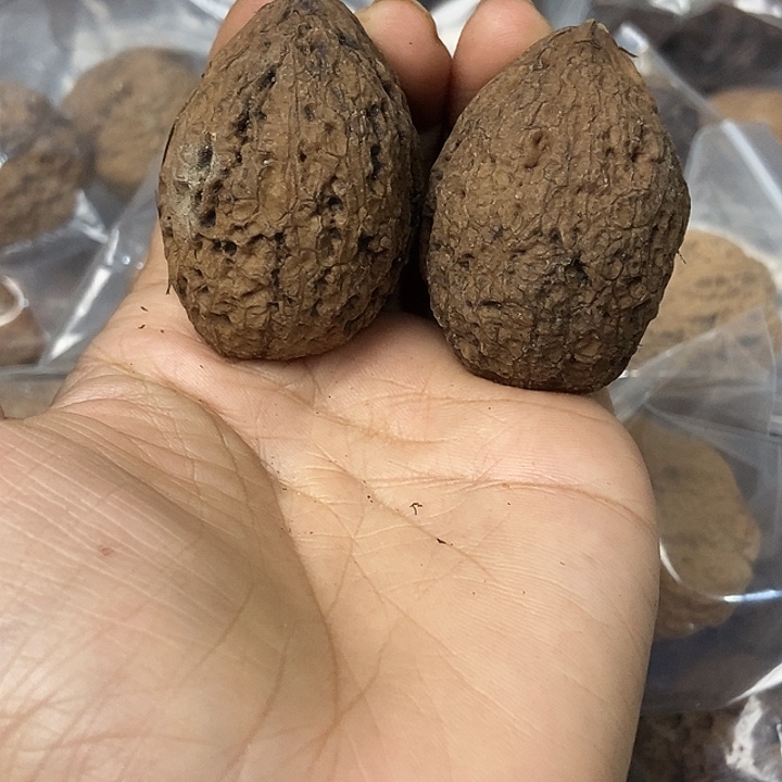 把件文玩核桃云南铁核桃基地53