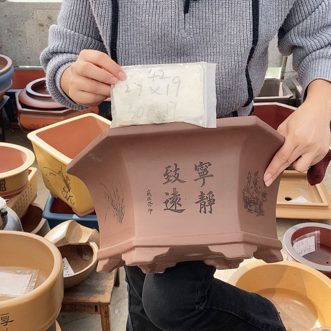 紫砂花盆紫砂花盆