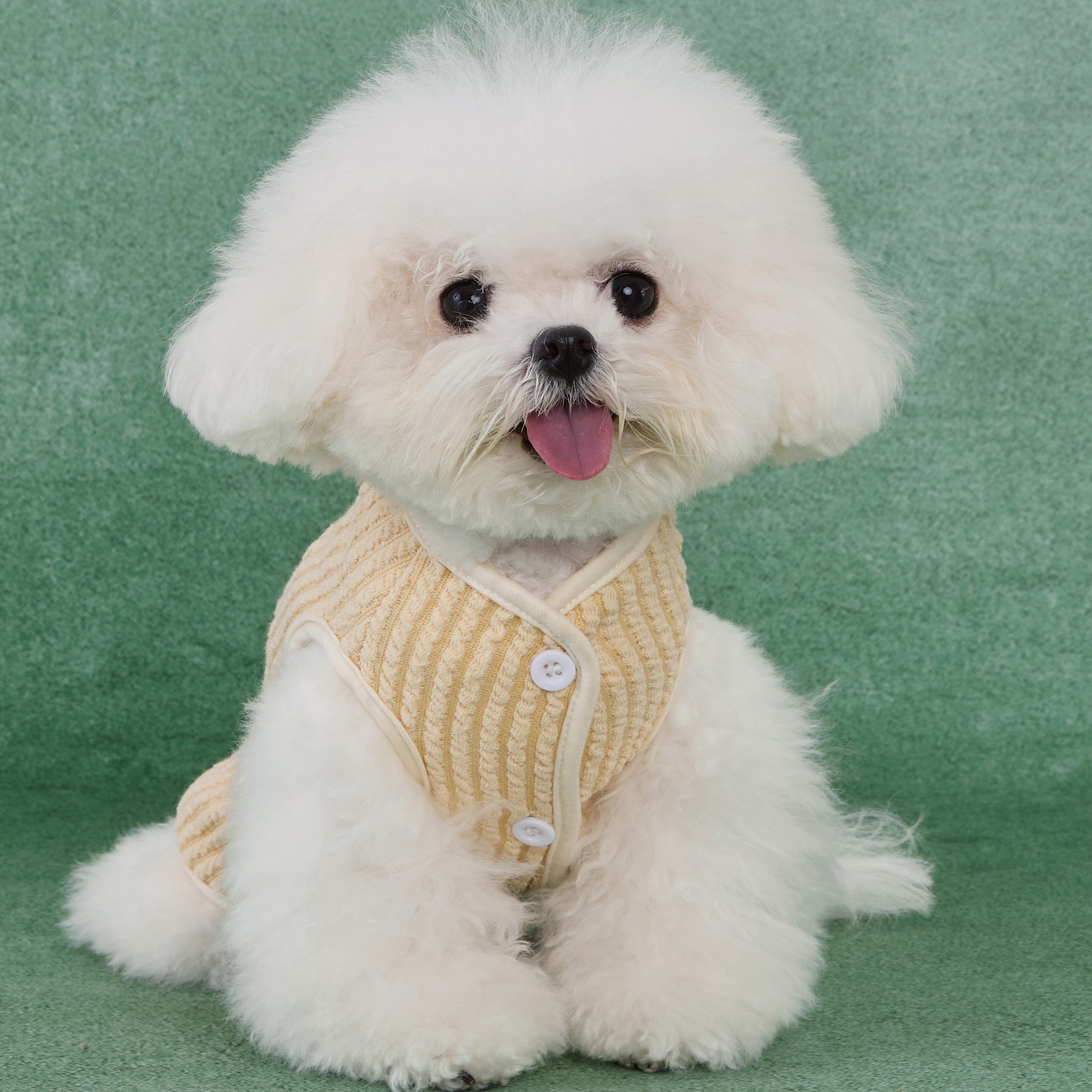 可爱毛线马甲秋冬款猫咪衣服布偶蓝猫狗狗宠物两脚防寒保暖小背心