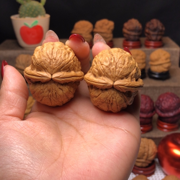 文玩核桃把件59金龟玉甲