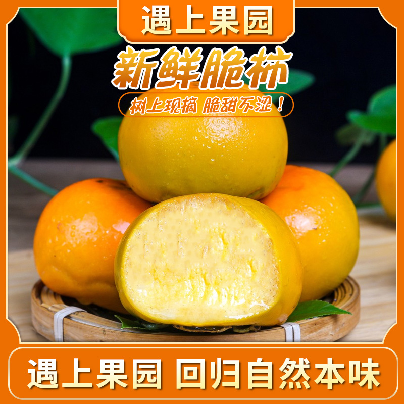 遇上果园【A级果】广西恭城脆柿甜蜜暴击应季水果硬柿子