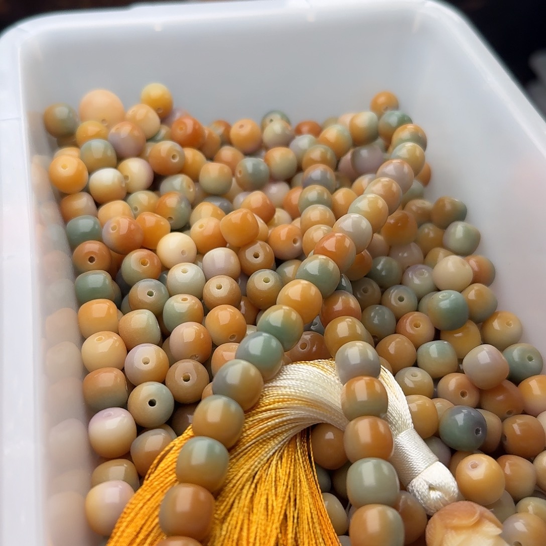 菩提根/象牙果吊坠50 颗小青芒 10 桶