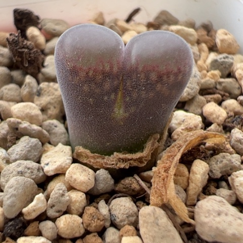 128 好看的肉肉冲冲冲冲冲冲