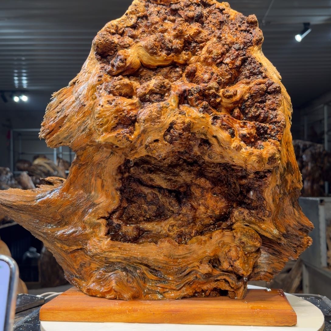 大***礼木王一刀琥珀木摆件157