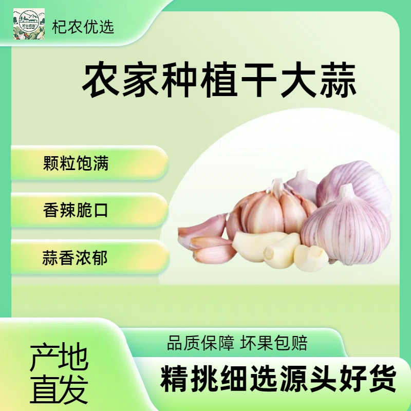 【新晒干大蒜】大蒜5斤1斤3斤9斤农家大蒜杞县大蒜正宗紫白皮大蒜