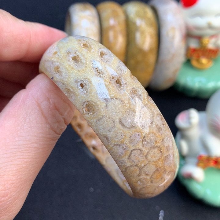 【闪购商品】硅化珊瑚（珊瑚玉）颈饰未镶嵌56