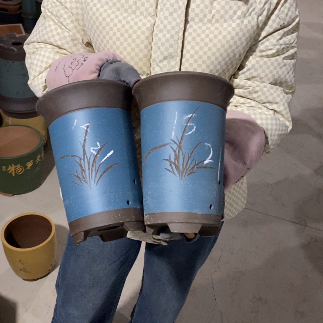 紫砂花盆紫砂花盆