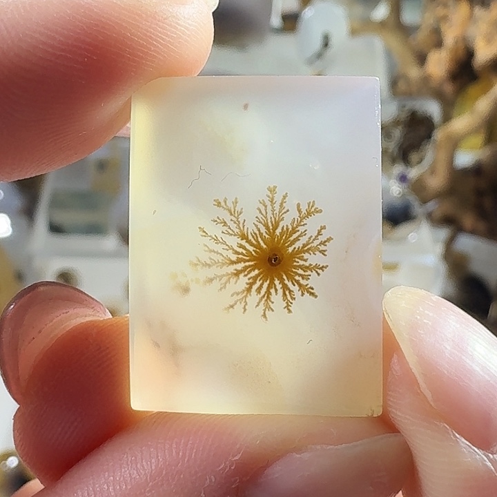 玛瑙/玉髓未镶嵌珠宝半成品