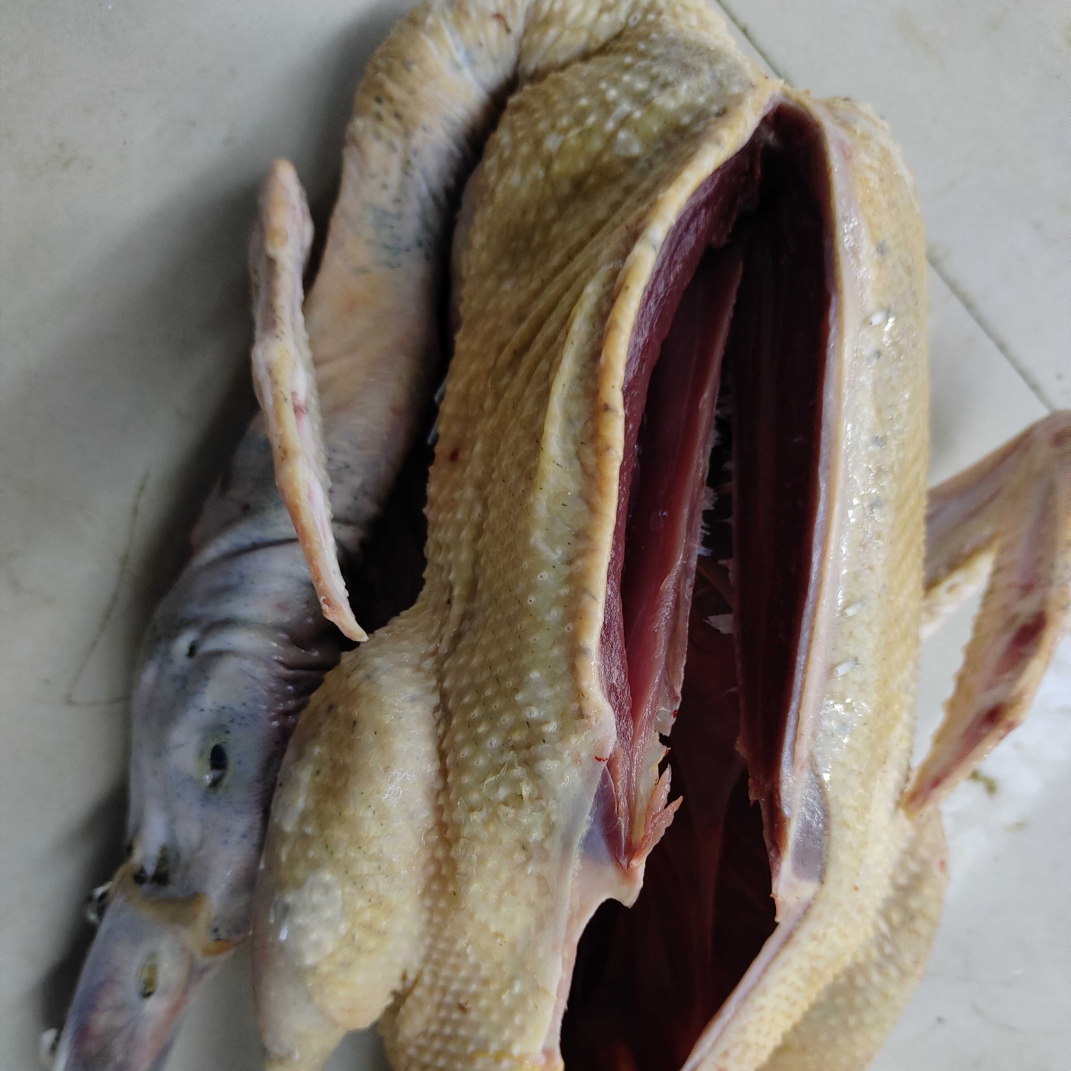 上饶散养正宗土鸭土黑鸭黑胡鸭冷链发货顺丰包邮