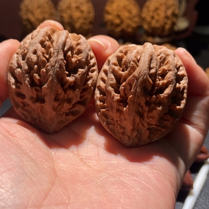 核桃八棱珊瑚楸玥核73微色差