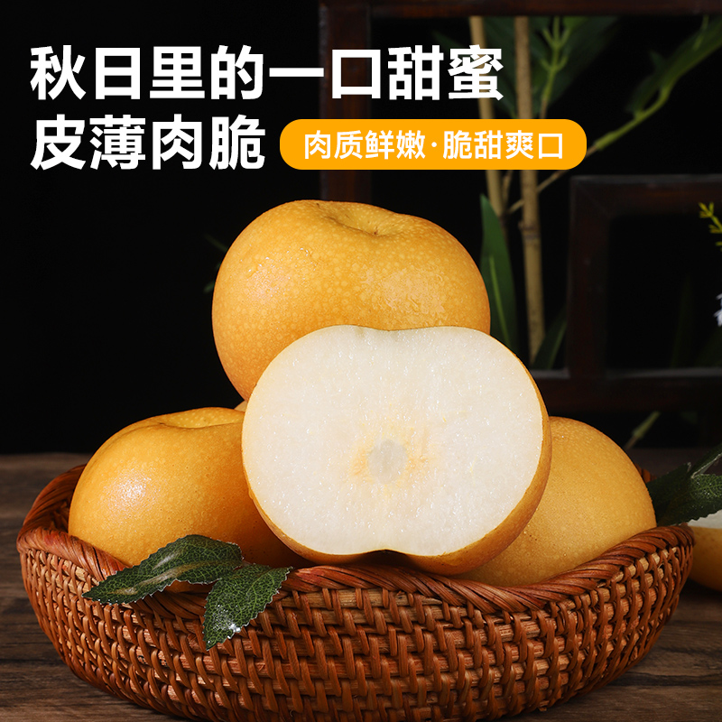 【正宗】山东头茬秋月梨正宗秋月梨头茬冰糖梨批发现摘维生素c水果