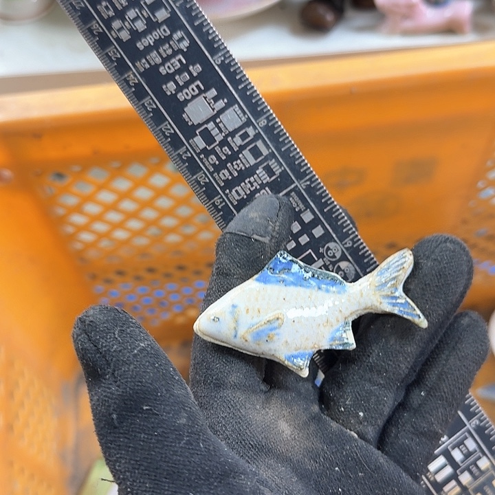 碗开播啦….开播啦