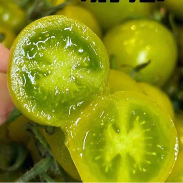 果切青霞小番茄一份（不低于350g）