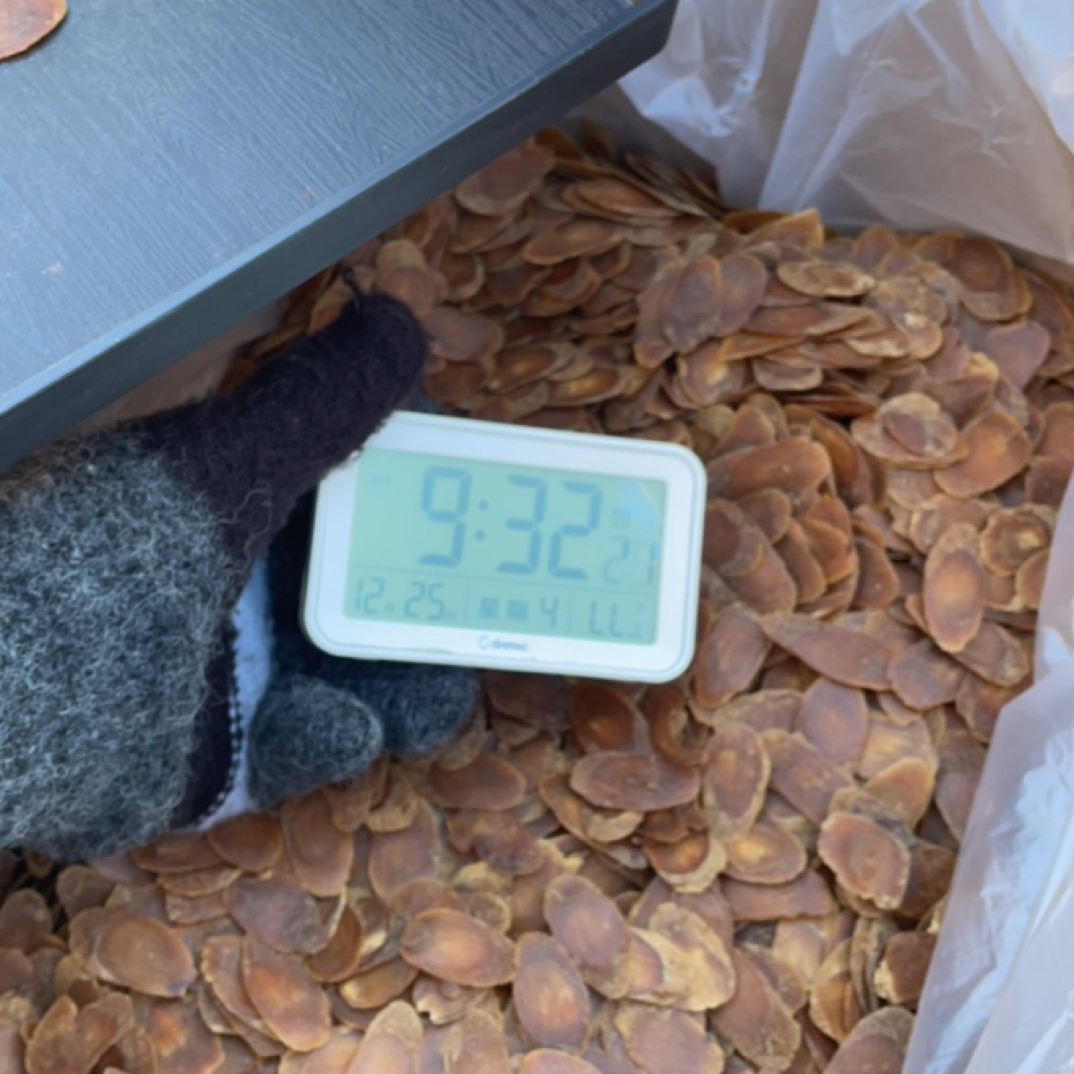 长白山特产红参片3