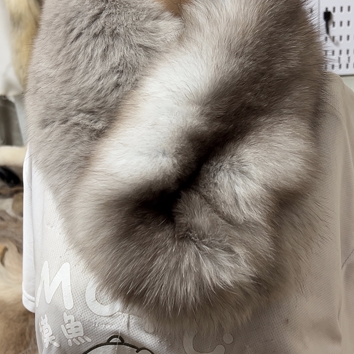 围脖围脖围巾围巾