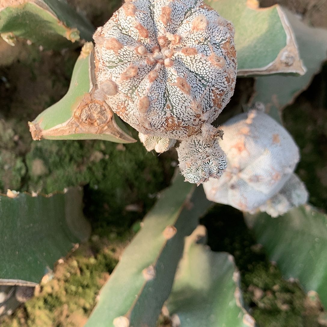 【闪购商品】?****3一嗯中