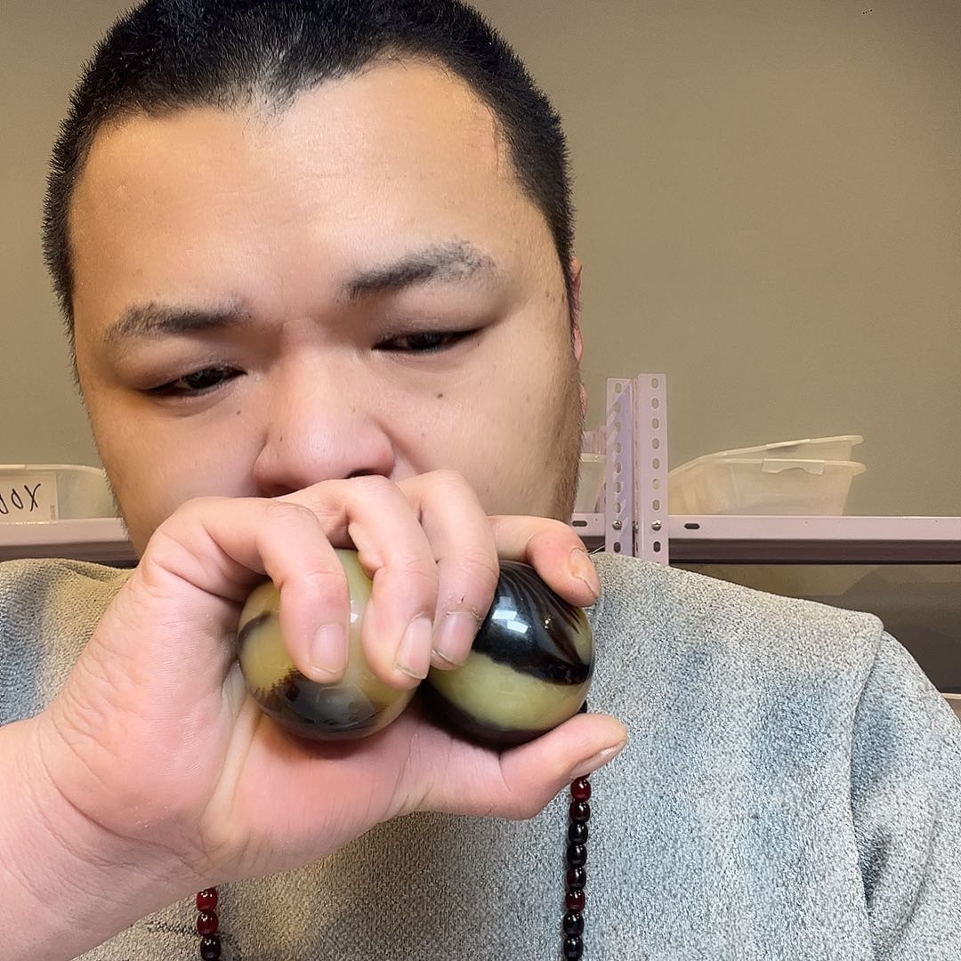 大叶紫檀（黑酸枝木类）F26