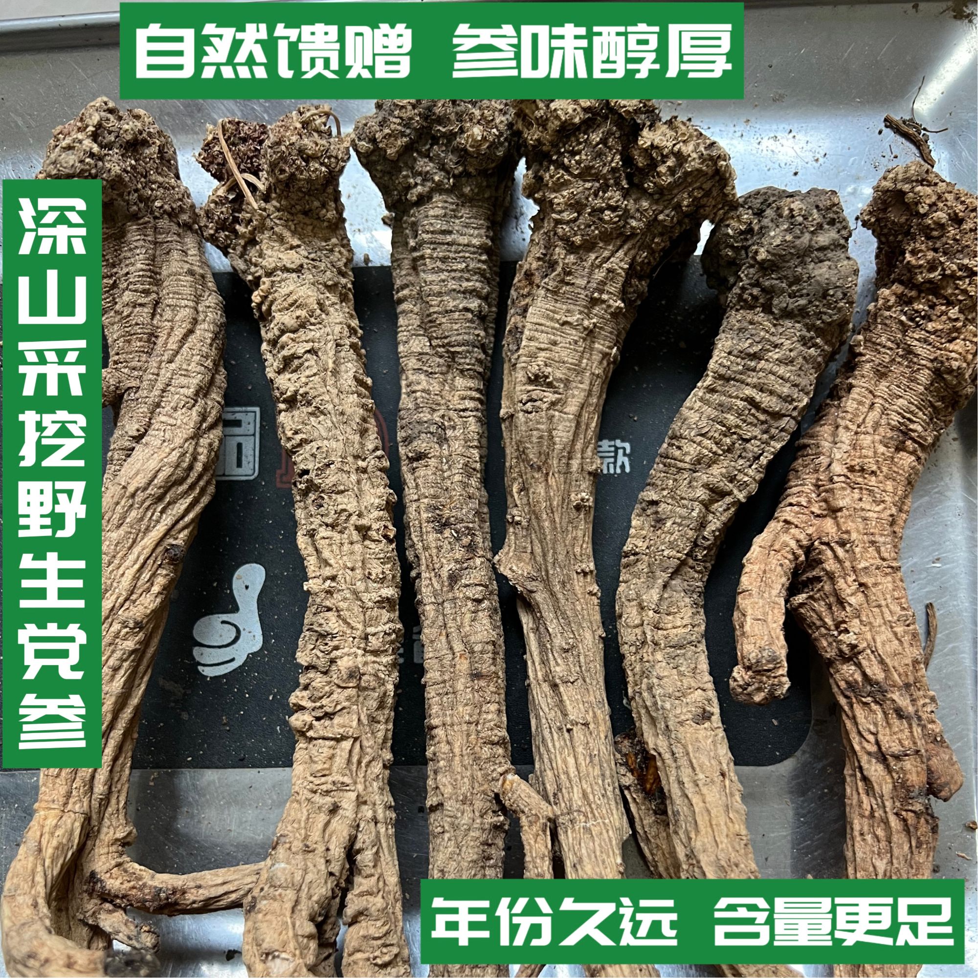 甘肃深山生长四五十年野生党参特大条材可煲汤可泡茶