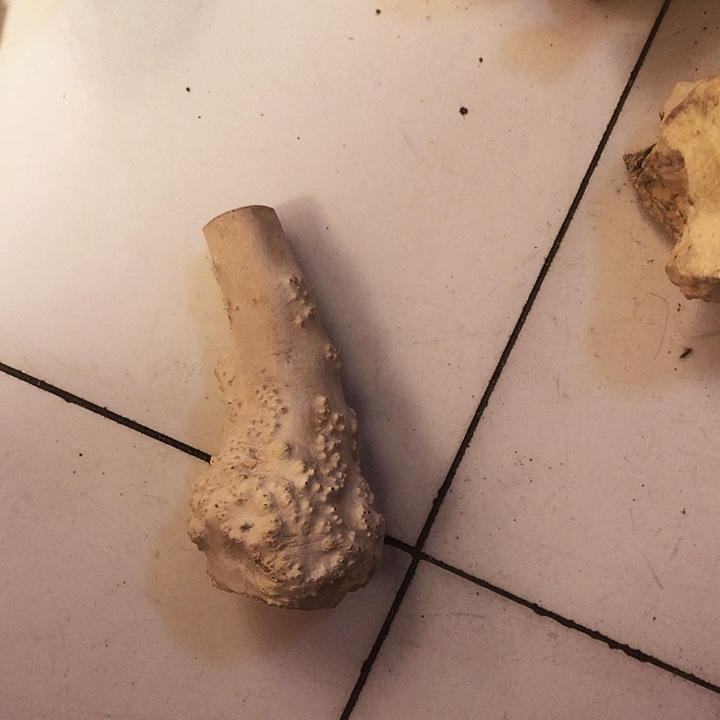 石***，木木料木料木料木料