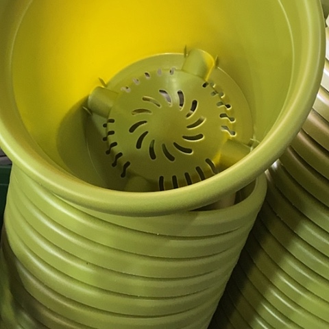 树脂四季4号果绿无托8个