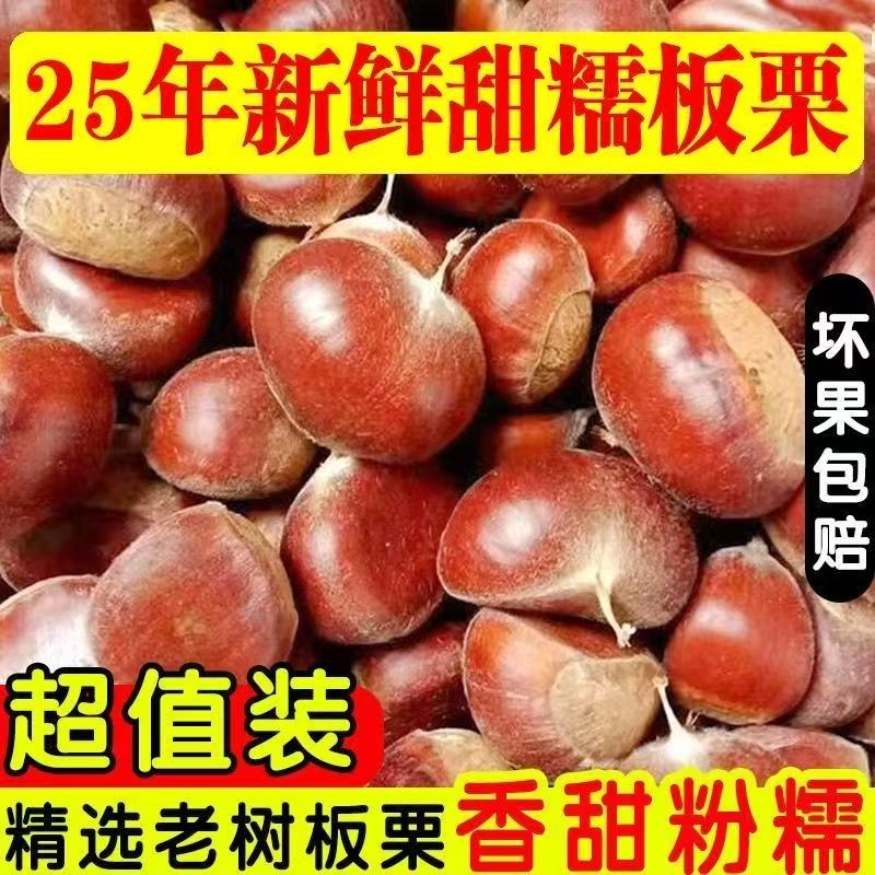 板栗新鲜现摘高山板栗饱满皮薄粉糯香甜正宗农家板栗
