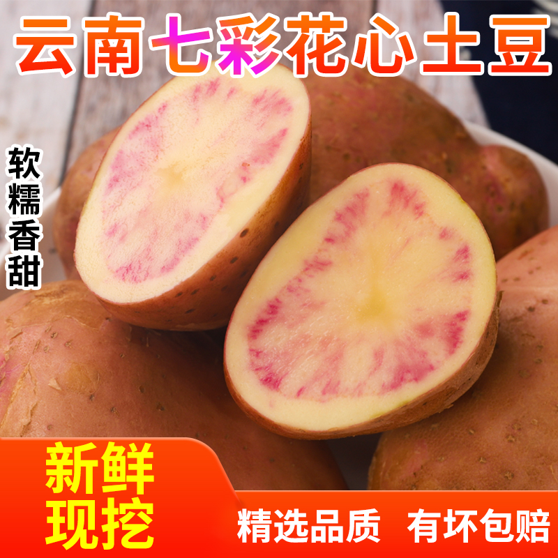 新鲜云南花心七彩土豆洋芋红心红皮土豆马铃薯现挖现发农家蔬菜