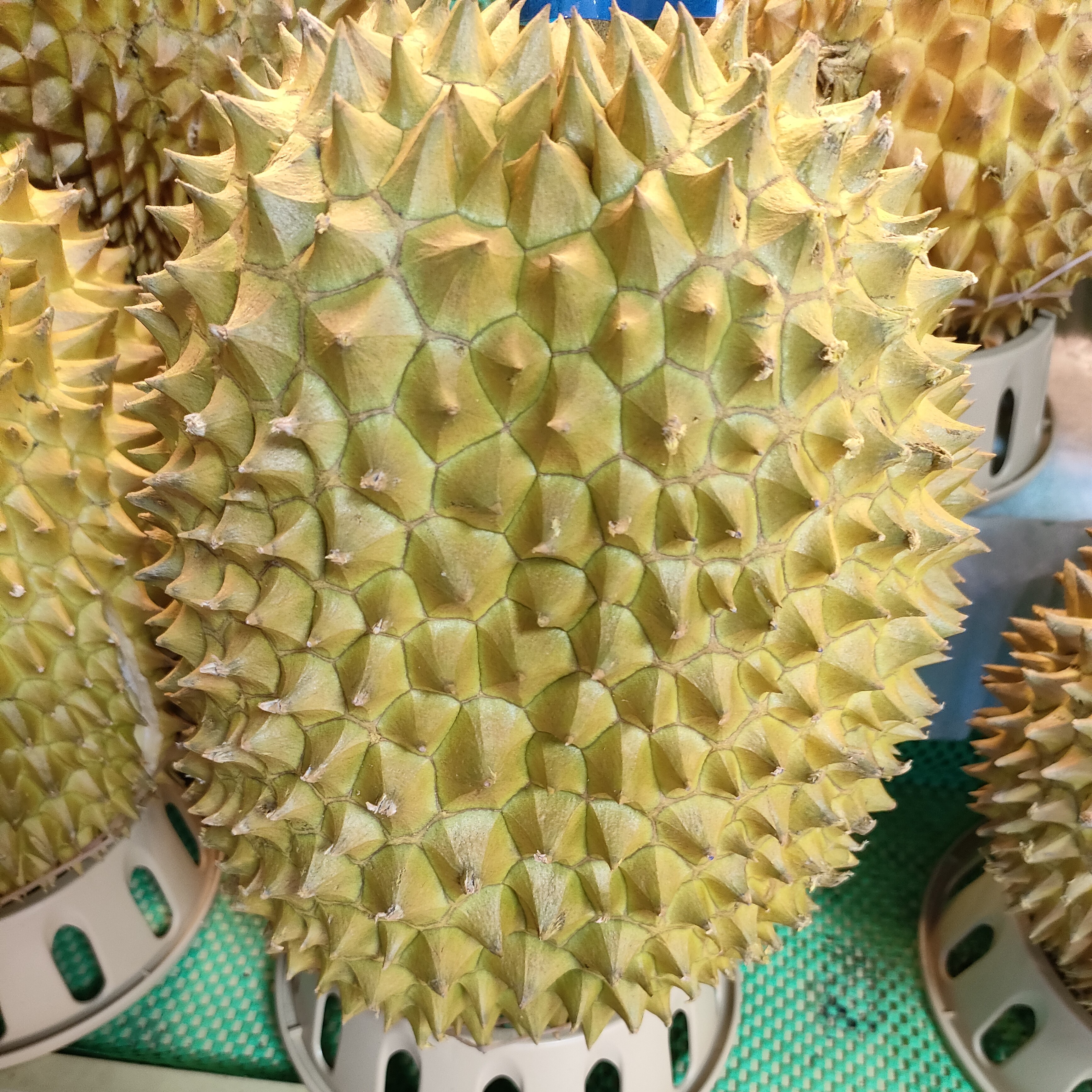 泰国金枕整果新鲜榴莲核小肉多（3-8斤）泰国金枕金枕泰国