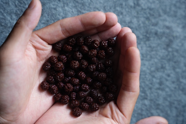 DU造物-金刚菩提私人定制专属链接