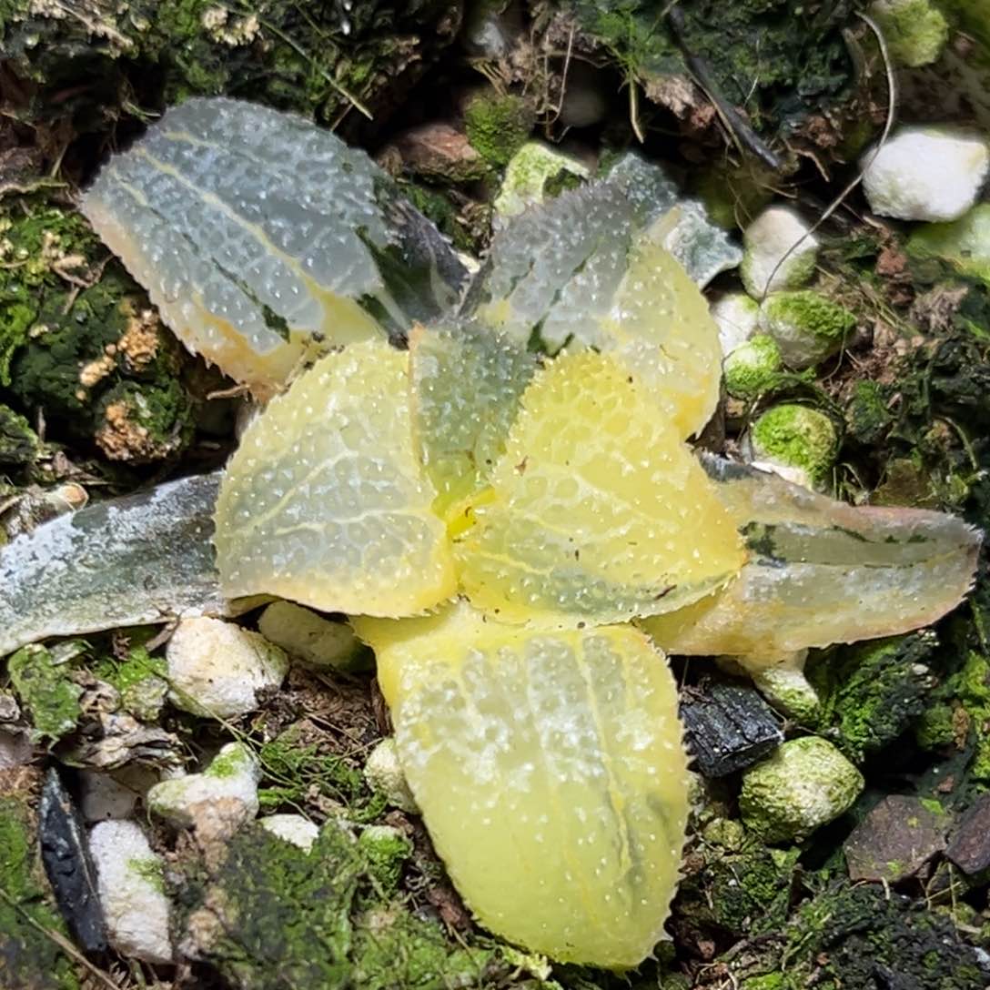 恭喜发财大吉大利0248