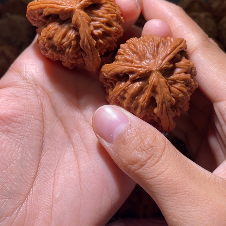 槿***饰吊坠文玩核桃拼接白狮子