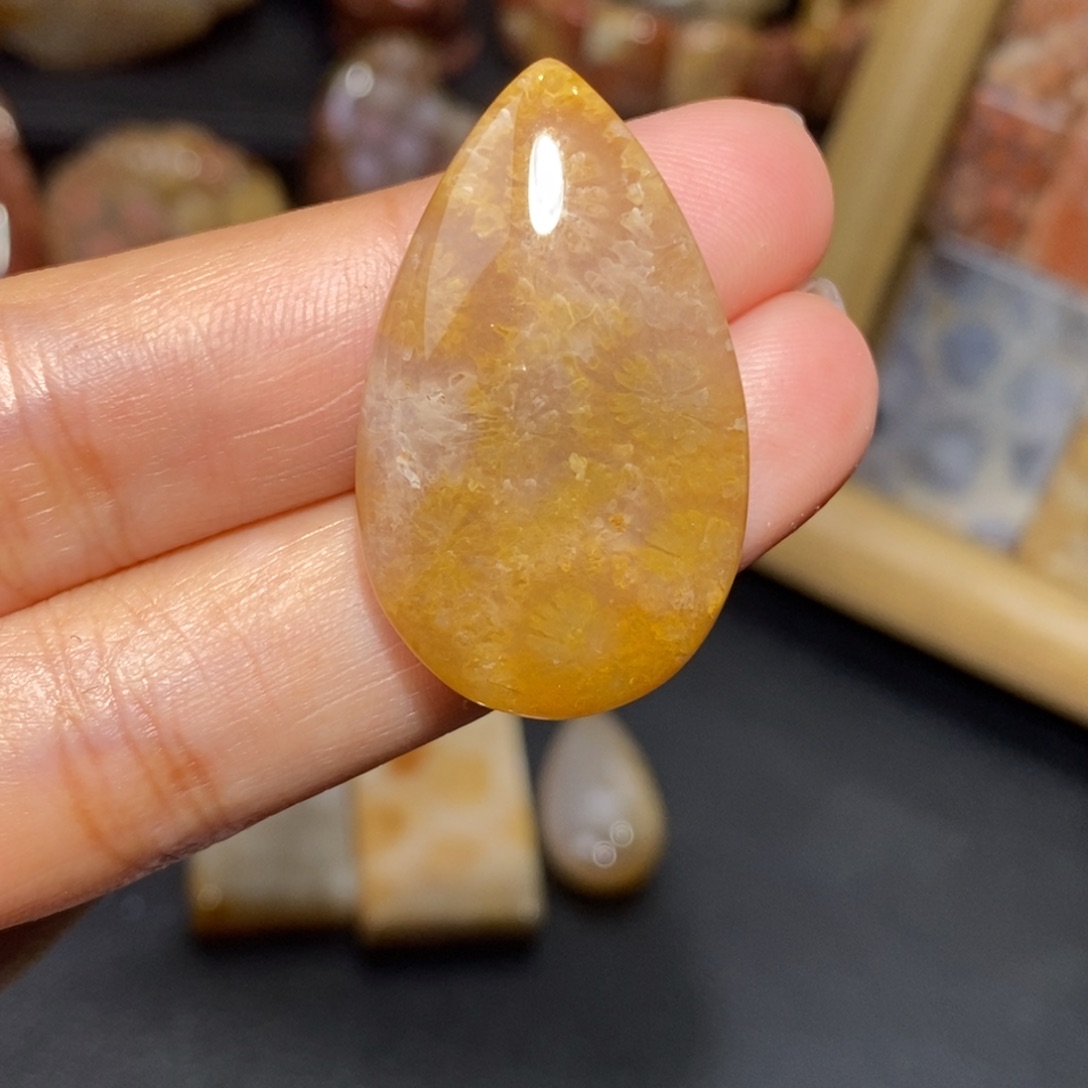 【闪购商品】硅化玉颈饰未镶嵌