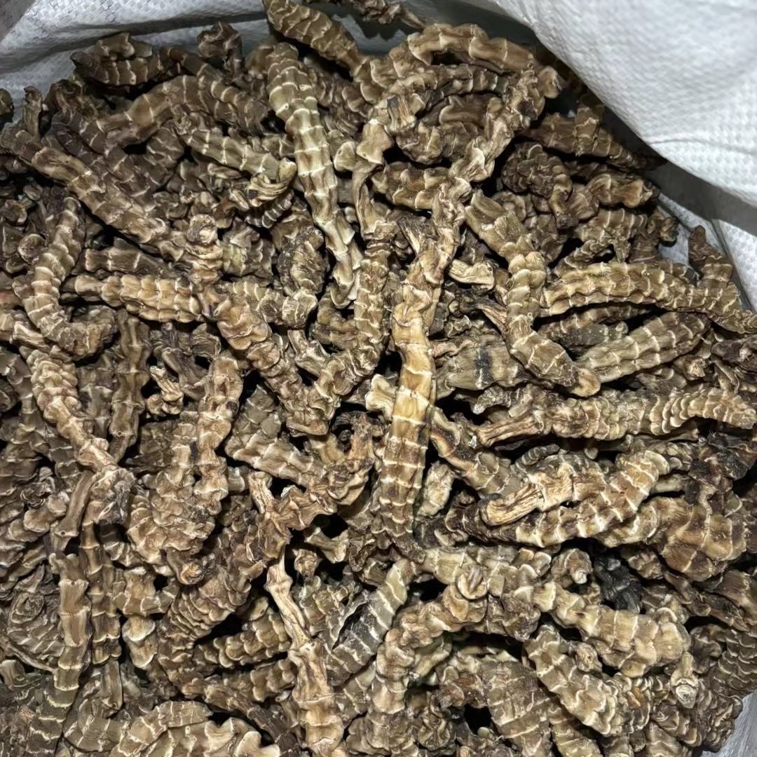 【开心山货】虫草参 云南深山正品干货