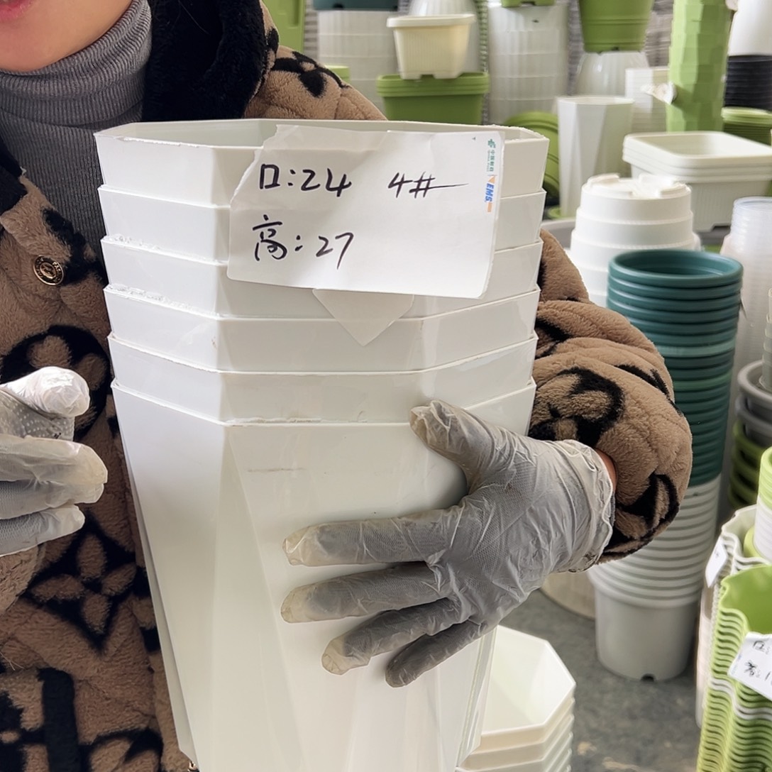 钻石4#白色6个无托