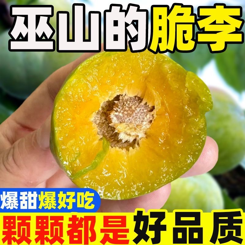 正宗重庆巫山脱骨青脆李 应季水果 清爽脆甜 果香浓郁 顺丰包邮 次日达 全国多仓发货（非重庆果园直发）重庆市