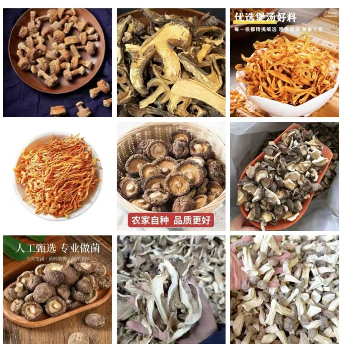 B004备用链接 高端品质 香菇菌子 现货山货