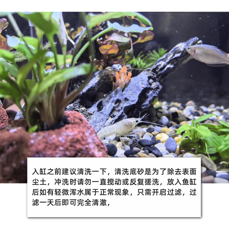 石鱼缸套餐生态石片造景水族天然鱼缸造景岩石用溪流装饰底沙青龙