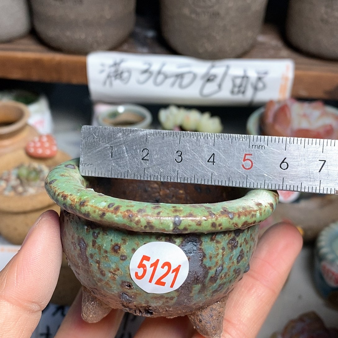 红陶拍5送一个小