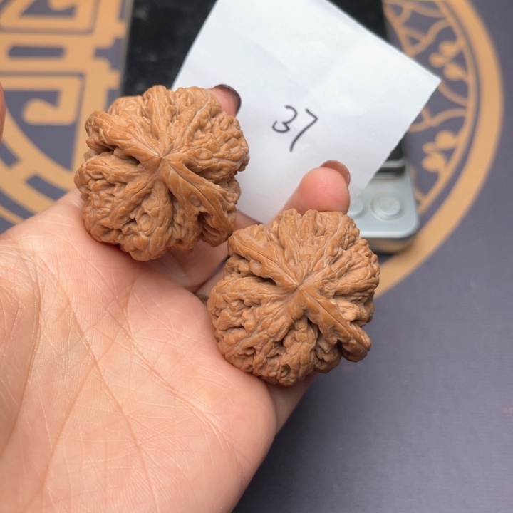 文玩核桃把件39大粗筋 27号