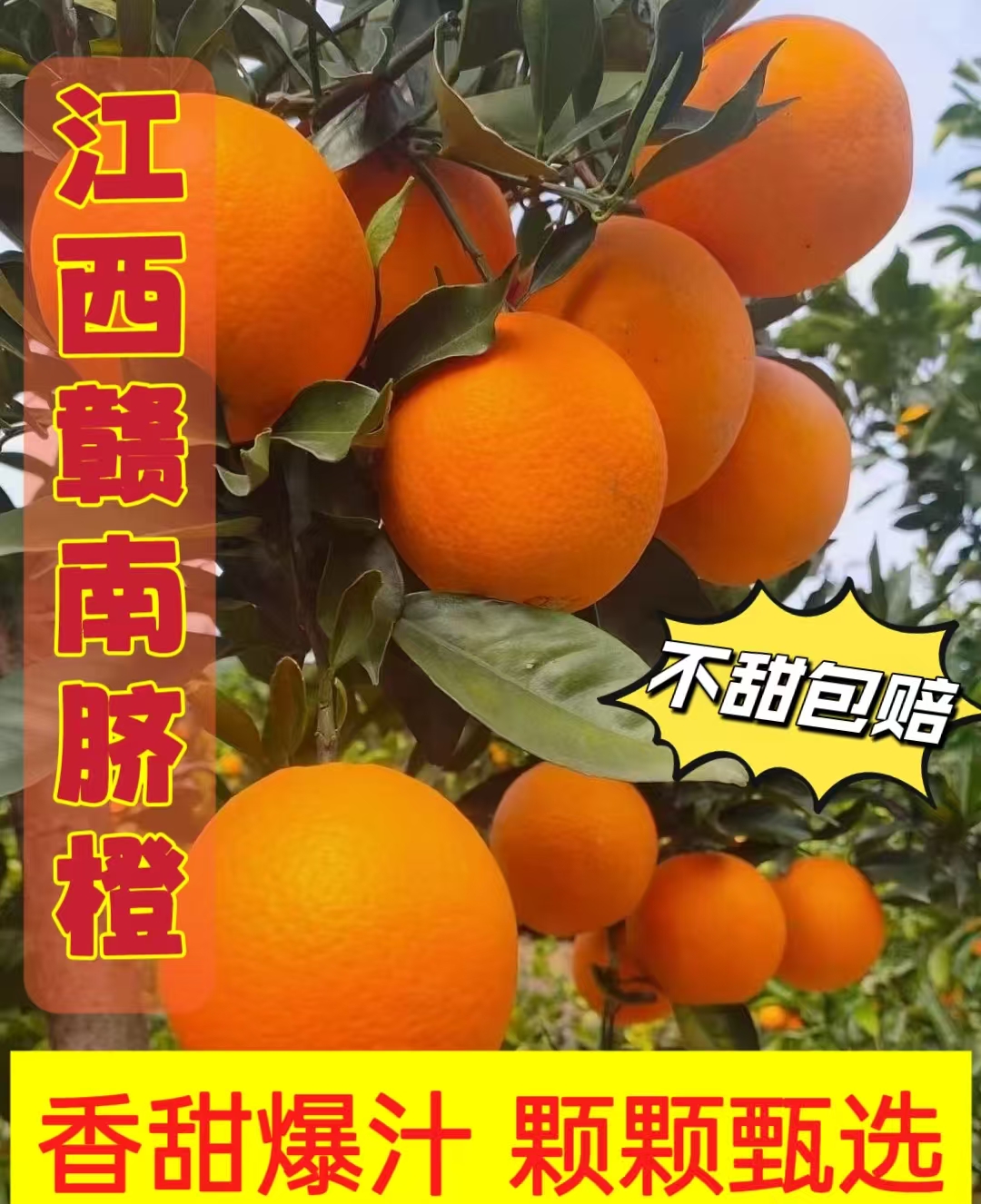 正宗江西赣南脐橙爆甜多汁应季水果细腻香甜纽荷尔橙